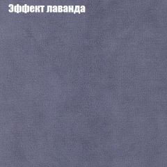 Диван Феникс 1 (ткань до 300) в Чайковском - chaykovskiy.mebel24.online | фото 64