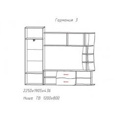 Гостиная ГАРМОНИЯ-3 (ЦРК.ГРМ.03) в Чайковском - chaykovskiy.mebel24.online | фото 2