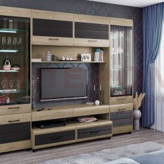 Гостиная Камелия Композиция 11 (Гикори Джексон светлый комбинированный) в Чайковском - chaykovskiy.mebel24.online | фото