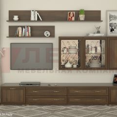 Гостиная Карина Композиция 10 (Акация Молдау) в Чайковском - chaykovskiy.mebel24.online | фото