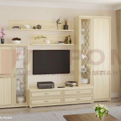 Гостиная Карина Композиция 12 (Ясень Асахи) в Чайковском - chaykovskiy.mebel24.online | фото