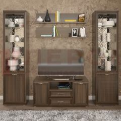 Гостиная Карина Композиция 13 (Акация Молдау) в Чайковском - chaykovskiy.mebel24.online | фото