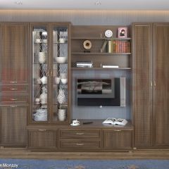 Гостиная Карина Композиция 14 (Акация Молдау) в Чайковском - chaykovskiy.mebel24.online | фото