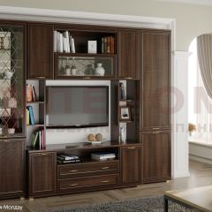 Гостиная Карина Композиция 2 (Акация Молдау) в Чайковском - chaykovskiy.mebel24.online | фото