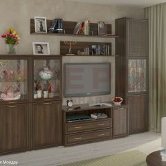 Гостиная Карина Композиция 22 (Акация Молдау) в Чайковском - chaykovskiy.mebel24.online | фото