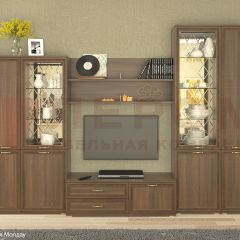 Гостиная Карина Композиция 24 (Акация Молдау) в Чайковском - chaykovskiy.mebel24.online | фото
