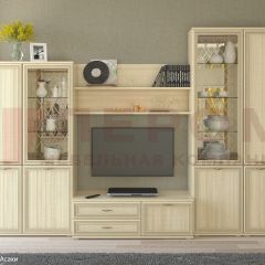 Гостиная Карина Композиция 24 (Ясень Асахи) в Чайковском - chaykovskiy.mebel24.online | фото