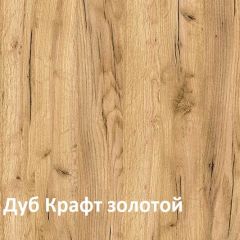 Крафт Полка навесная 15.64 в Чайковском - chaykovskiy.mebel24.online | фото 3