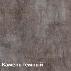 Крафт Полка навесная 15.64 в Чайковском - chaykovskiy.mebel24.online | фото 4