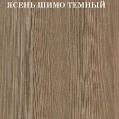 Кровать 2-х ярусная с диваном Карамель 75 (Биг Бен) Ясень шимо светлый/темный в Чайковском - chaykovskiy.mebel24.online | фото 5