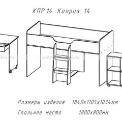 КАПРИЗ-14 Кровать 800 двухъярусная без рисунка в Чайковском - chaykovskiy.mebel24.online | фото 2