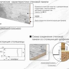 Кухонный фартук со столешницей (А-01) в едином стиле (3050 мм) в Чайковском - chaykovskiy.mebel24.online | фото 7