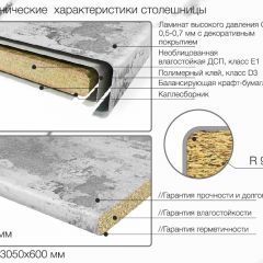 Кухонный фартук со столешницей (А-06) в едином стиле (3050 мм) в Чайковском - chaykovskiy.mebel24.online | фото 6