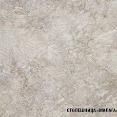 Кухонный гарнитур Ника оптима 1300*2500 в Чайковском - chaykovskiy.mebel24.online | фото 6