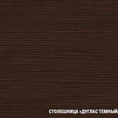 Кухонный гарнитур Полина стандарт 1600 в Чайковском - chaykovskiy.mebel24.online | фото 12