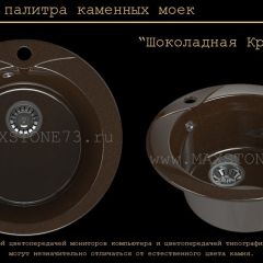 Мойка кухонная MS-1 (D470) в Чайковском - chaykovskiy.mebel24.online | фото 11
