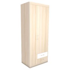 НИКА Н10 Шкаф для одежды в Чайковском - chaykovskiy.mebel24.online | фото