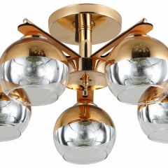 Потолочная люстра Rivoli Zella Б0048219 в Чайковском - chaykovskiy.mebel24.online | фото