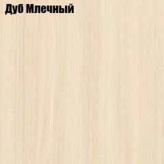 Прихожая Элегант-2 (полный к-кт фур-ры) в Чайковском - chaykovskiy.mebel24.online | фото 4