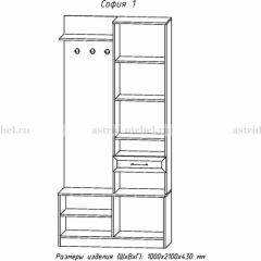 Прихожая София 1 в Чайковском - chaykovskiy.mebel24.online | фото 3