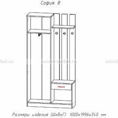 Прихожая София 8 в Чайковском - chaykovskiy.mebel24.online | фото 2