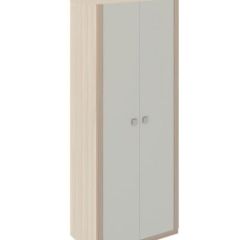 Шкаф 2 двери Глэдис М22 (ЯШС/Белый) в Чайковском - chaykovskiy.mebel24.online | фото