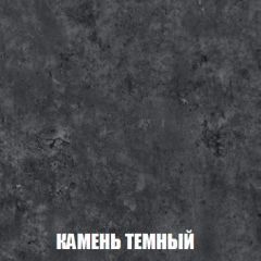 Шкаф 2-х створчатый МСП-1 (Дуб Золотой/Камень темный) в Чайковском - chaykovskiy.mebel24.online | фото 5