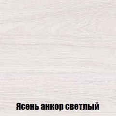 Шкаф 2-х створчатый МСП-1 (Ясень Анкор светлый) в Чайковском - chaykovskiy.mebel24.online | фото 4