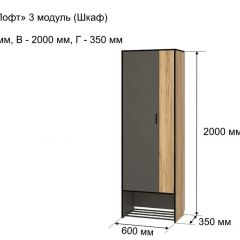 ОЛЬГА-ЛОФТ 3 Шкаф 2-х створчатый в Чайковском - chaykovskiy.mebel24.online | фото 4