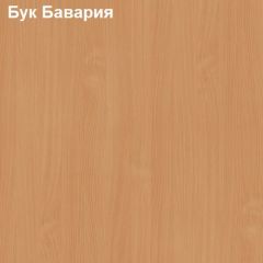 Шкаф для документов средний с нижними дверями Логика Л-13.1 в Чайковском - chaykovskiy.mebel24.online | фото 2