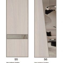 Шкаф-купе 1300 серии SILVER S3+S4+B2+PL4 (2 ящика+F обр.штанга) профиль «Серебро» в Чайковском - chaykovskiy.mebel24.online | фото 11