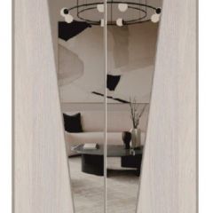 Шкаф-купе 1300 серии SILVER S3+S4+B2+PL4 (2 ящика+F обр.штанга) профиль «Серебро» в Чайковском - chaykovskiy.mebel24.online | фото 12