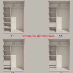 Шкаф-купе 1300 серии SILVER S3+S4+B2+PL4 (2 ящика+F обр.штанга) профиль «Серебро» в Чайковском - chaykovskiy.mebel24.online | фото 5