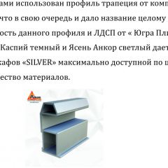 Шкаф-купе 1500 серии SILVER S1+S1+B2+PL2 (2 ящика+1 штанга+1 полка) профиль «Серебро» в Чайковском - chaykovskiy.mebel24.online | фото 4