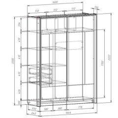 Шкаф-купе 1600 с плитой 22 мм ЛИБЕРТИ в Чайковском - chaykovskiy.mebel24.online | фото 4