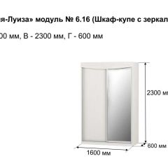 Шкаф-купе 1600 с зеркалом "Мария-Луиза 6.16" в Чайковском - chaykovskiy.mebel24.online | фото 4