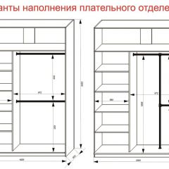 Шкаф-купе 1600 серии SOFT D6+D4+B2+PL2 (2 ящика+1штанга+1 полка) профиль «Капучино» в Чайковском - chaykovskiy.mebel24.online | фото 9