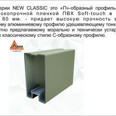Шкаф-купе 1700 серии NEW CLASSIC K3+K3+B2+PL1 (2 ящика+1 штанга) профиль «Капучино» в Чайковском - chaykovskiy.mebel24.online | фото 5