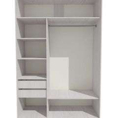 Шкаф-купе 1700 серии SILVER S1+S1+B2+PL2 (2 ящика+1 штанга+1 полка) профиль «Серебро» в Чайковском - chaykovskiy.mebel24.online | фото 2