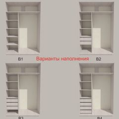 Шкаф-купе 1700 серии SILVER S1+S1+B2+PL2 (2 ящика+1 штанга+1 полка) профиль «Серебро» в Чайковском - chaykovskiy.mebel24.online | фото 5