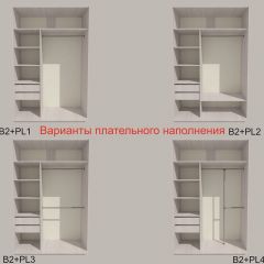 Шкаф-купе 1700 серии SILVER S1+S1+B2+PL2 (2 ящика+1 штанга+1 полка) профиль «Серебро» в Чайковском - chaykovskiy.mebel24.online | фото 6