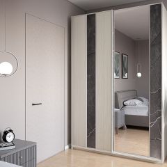 Шкаф-купе 1700 серии SILVER S4+S3Z+B2+PL1 (2 ящика+1 штанга) профиль «Серебро» в Чайковском - chaykovskiy.mebel24.online | фото