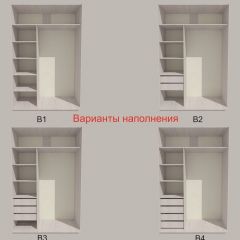 Шкаф-купе 1700 серии SILVER S4+S3Z+B2+PL1 (2 ящика+1 штанга) профиль «Серебро» в Чайковском - chaykovskiy.mebel24.online | фото 5