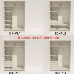 Шкаф-купе 1800 серии SOFT D6+D4+B2+PL2 (2 ящика+1штанга+1 полка) профиль «Капучино» в Чайковском - chaykovskiy.mebel24.online | фото 7