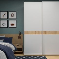 Шкаф-купе 1800 серии SOFT D6+D6+B2+PL3 (2 ящика+2штанги) профиль «Капучино» в Чайковском - chaykovskiy.mebel24.online | фото
