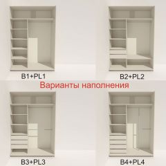 Шкаф-купе 1800 серии SOFT D6+D6+B2+PL3 (2 ящика+2штанги) профиль «Капучино» в Чайковском - chaykovskiy.mebel24.online | фото 6
