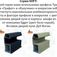 Шкаф-купе 1800 серии SOFT D6+D6+B2+PL3 (2 ящика+2штанги) профиль «Капучино» в Чайковском - chaykovskiy.mebel24.online | фото 12