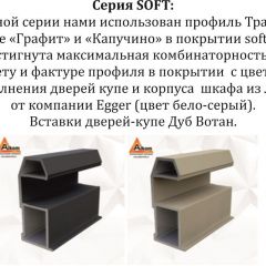 Шкаф-купе 2400 серии SOFT D2+D7+D3+B22+PL2 (по 2 ящика лев/прав+1штанга+1полка) профиль «Графит» в Чайковском - chaykovskiy.mebel24.online | фото 12