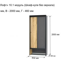 ОЛЬГА-ЛОФТ 10.1 Шкаф-купе без зеркала в Чайковском - chaykovskiy.mebel24.online | фото 3