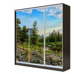 Шкаф-купе ХИТ 23-4-18-777 (420) в Чайковском - chaykovskiy.mebel24.online | фото 1